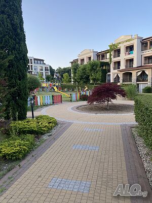image_19