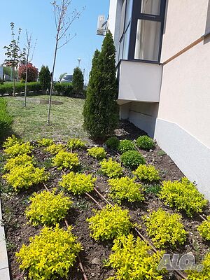 image_13