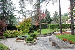 image_12