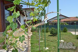 image_4
