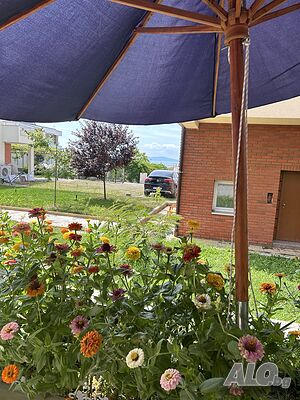 image_11