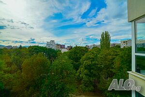 image_9