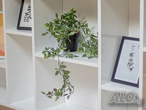 image_12