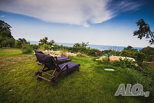image_8