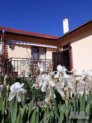 image_12