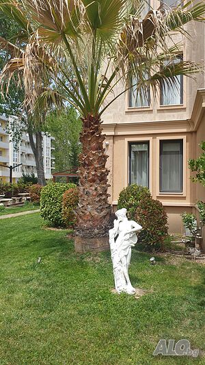 image_36