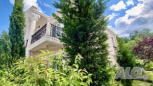 image_51