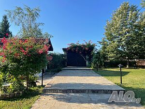 image_11