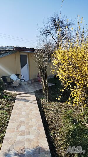 image_11