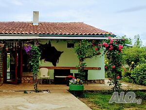 image_22