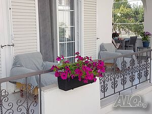 image_10