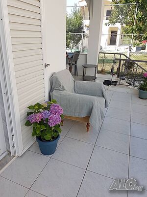 image_11