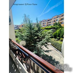 image_8