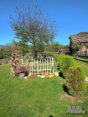 image_18