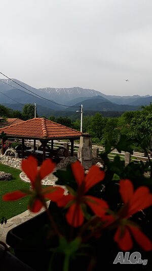 image_21