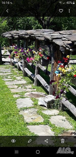 image_23
