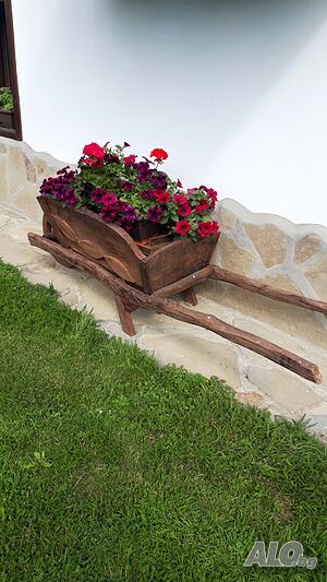 image_25
