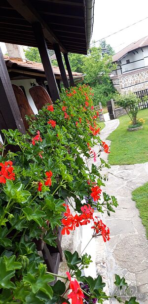 image_30