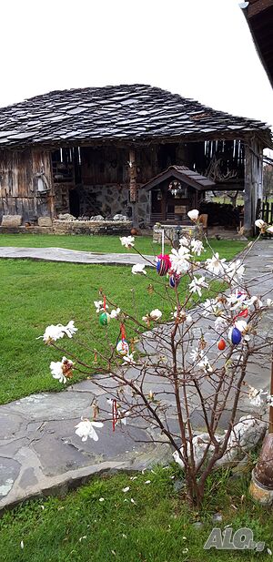 image_33