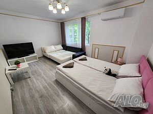 image_19