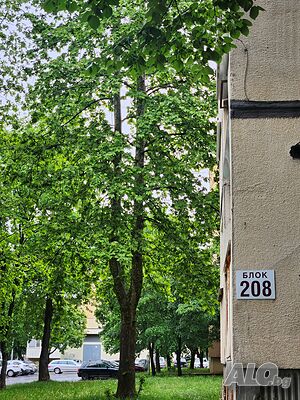 image_23