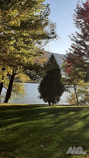 image_9