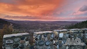 image_10