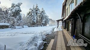 image_12