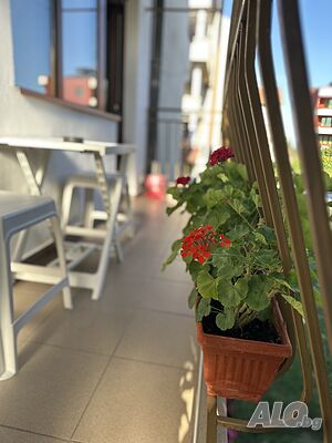 image_12