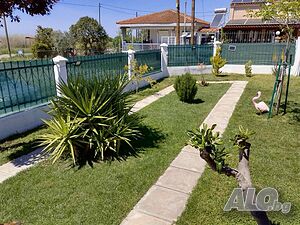 image_16