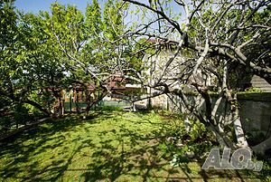image_18