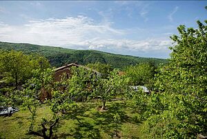image_22