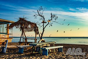 image_45