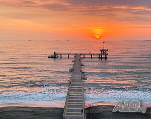 image_46