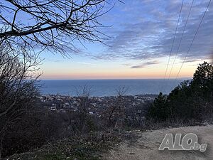 image_19