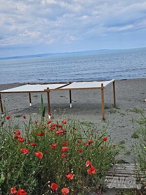 image_11