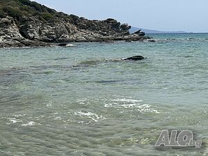 image_15