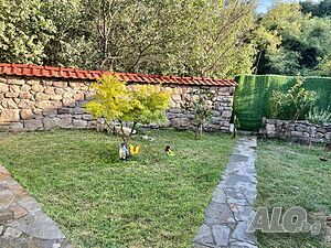 image_25