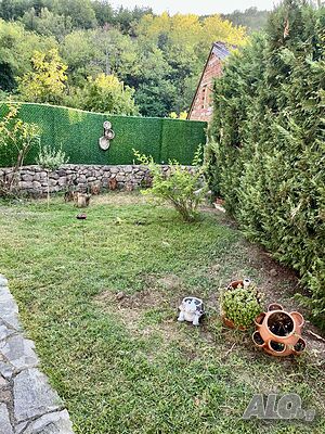 image_26