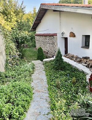 image_29