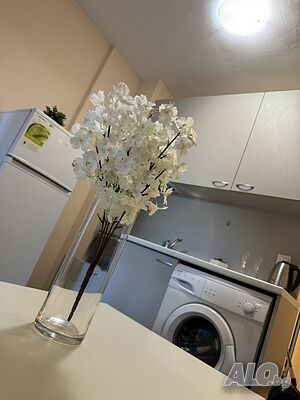 image_10