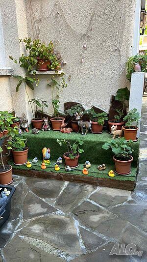 Стая под наем Стаи за гости Релакс