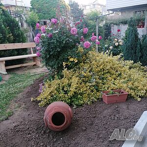 image_11