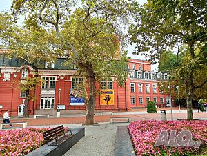 image_8