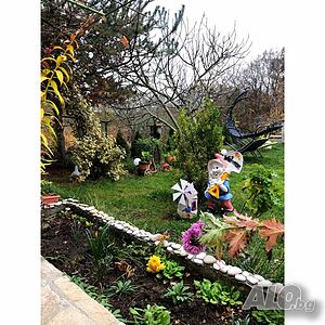 image_8
