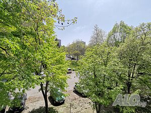 image_6