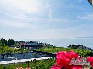 image_22