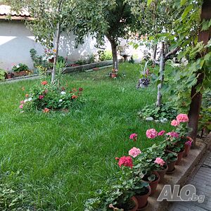 image_22
