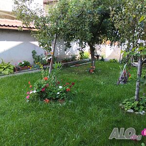 image_21