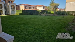image_12